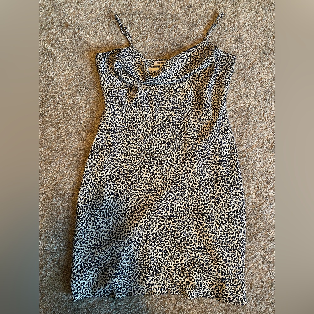 Express leopard print dress